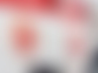 Colisão entre moto e animal deixa homem ferido em Delmiro Gouveia