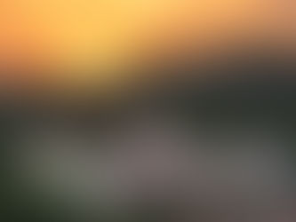 Ilha do Ferro é tema de questão do Enem 2025 e destaca arte popular alagoana