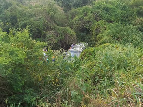 Motorista perde o controle de veículo e capota na AL-220 em Olho D'água das Flores