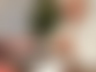 AL: municípios vão receber R$ 204 milhões com recomposição de perdas do FPM