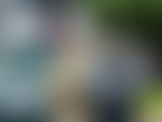 Número de homicídios cai em 2025 e Alagoas registra os menores índices em 14 anos