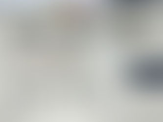 Polícia Civil apreende drogas e causa prejuízo ao tráfico em Santana do Ipanema