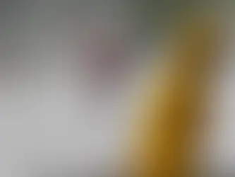 INMET dispara alerta de chuvas fortes para mais de 50 cidades de Alagoas