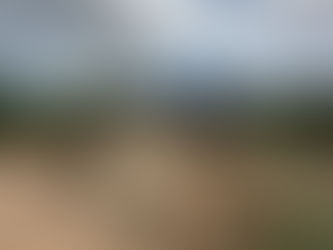 Em regime de plantão, Prefeitura de Delmiro Gouveia realiza diversas ações neste domingo (01)