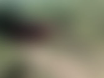 Carro capota na AL-220, em Olho D’Água do Casado
