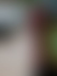 Polícia prende condenado por estupro e furto em Olivença