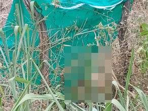 Homem morre e adolescente fica ferido em grave acidente de trânsito na zona rural de Água Branca