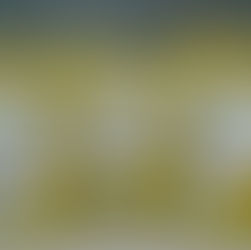 Planta Alagoas entrega 30 toneladas de sementes no Sertão nesta quinta (26)