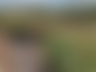 Polícia Federal apreende aproximadamente 2 toneladas de maconha nas imediações de Delmiro Gouveia