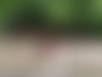 Jovem é arrastado por correnteza ao tentar atravessar passagem molhada em Delmiro Gouveia