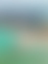 Alagoas ocupa 2º lugar em ranking de destinos nacionais mais buscados para lazer em 2025