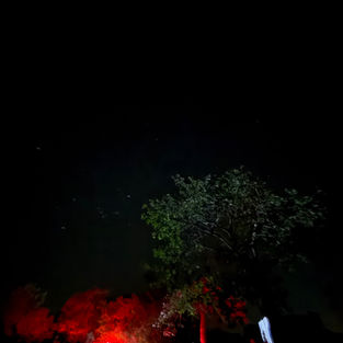 Polícia Civil investiga duplo homicídio na zona rural de Senador Rui Palmeira