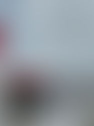 Homem é preso em flagrante por agredir companheira em Delmiro Gouveia