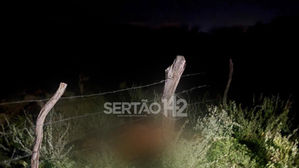 Colisão com animal é registrada na AL-145 e deixa prejuízos materiais em Água Branca