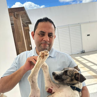 Vereador Jediael Pereira acolhe cadela ferida para tratamento e reforça compromisso com a causa animal