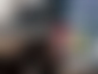 Polícia Civil prende suspeito de homicídio e feminicídio em Senador Rui Palmeira