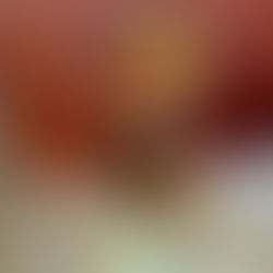 Cão farejador da COPES-Caatinga identifica mochila com drogas em van na cidade de Jaramataia