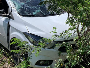 Animal na pista provoca mais um capotamento na AL-145 em Pariconha