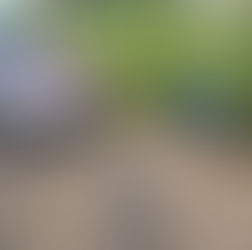 Adolescente de 16 anos é flagrado empinando moto em rodovia e mãe é autuada pela PM em Água Branca