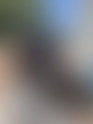 GOPES apreende arma e moto roubada após tentativa de homicídio em Batalha