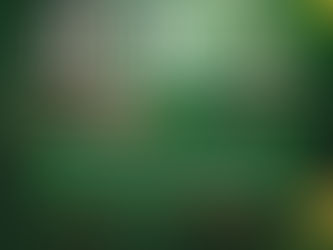 I Mostra Cultural Jiripankó celebra a ancestralidade e a memória do povo indígena em Pariconha