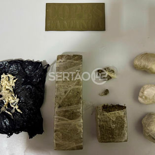 Copes Caatinga apreende drogas e prende suspeito de tráfico em Piranhas