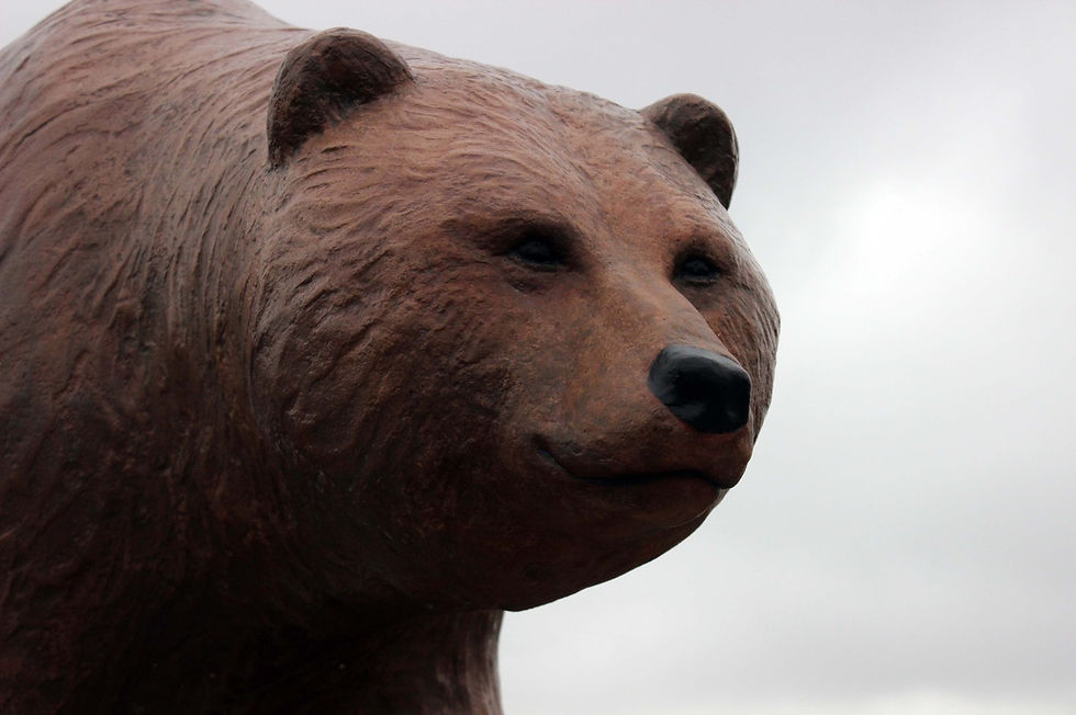 Refurbish the Bridge Bears