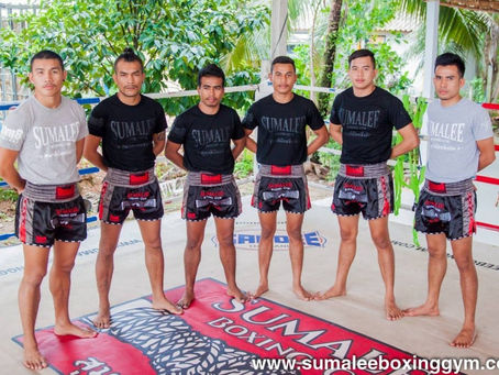MuayTime Crack Incl Product Key Free Download For Windows