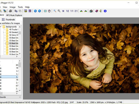 Vallen Jpegger 9.1215 Crack  (LifeTime) Activation Code Download PC/Windows [April-2022]