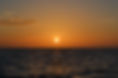 DSC_0132.jpg