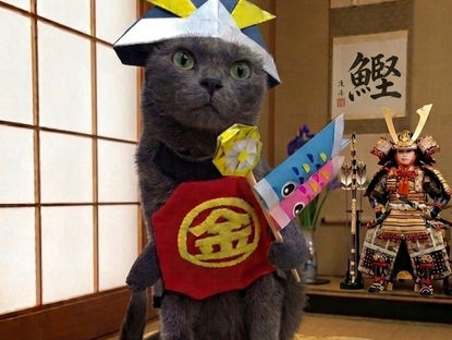 5月の休診日のお知らせ