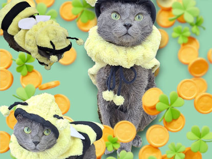 4月の院長不在日のお知らせ