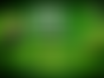 Key Takeaways from NVIDIA's GTC Live Updates and Announcements