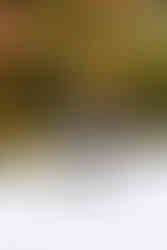 Dilhan's Artisan Pantry Chimichurri sosu