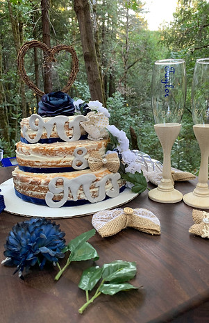 Wedding Cake.jpg