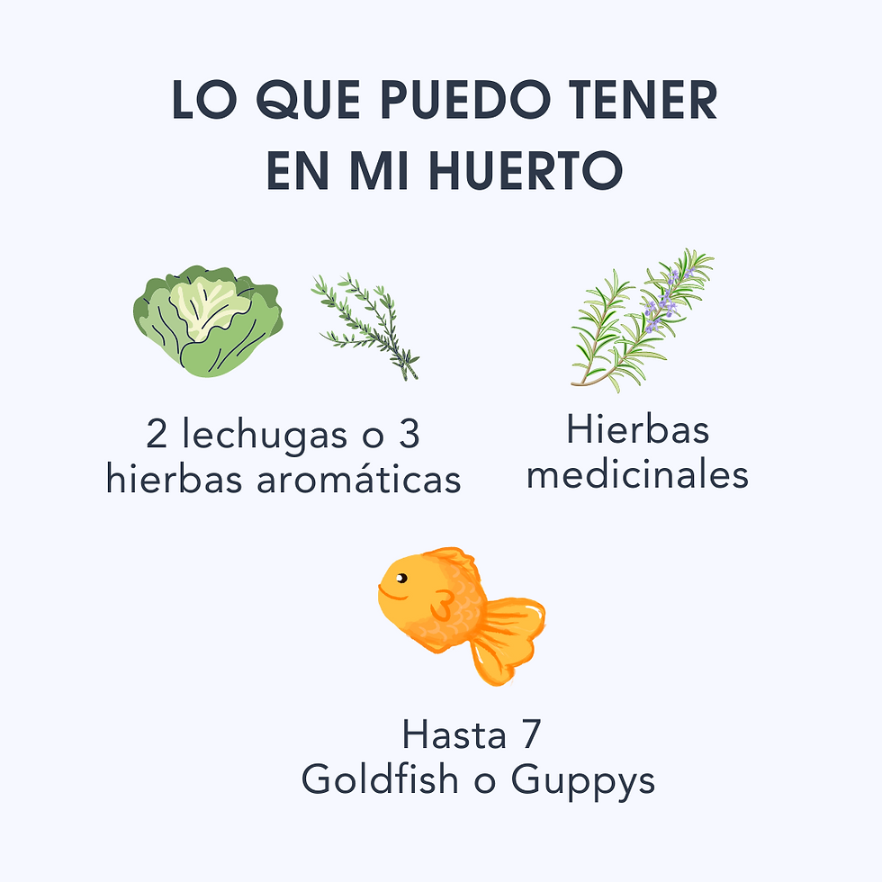 Miniatura: Huerto Semilla