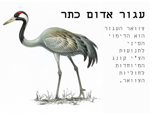 שיעור הדגמה - צ'י קונג מיוחד לחוליות הצוואריות