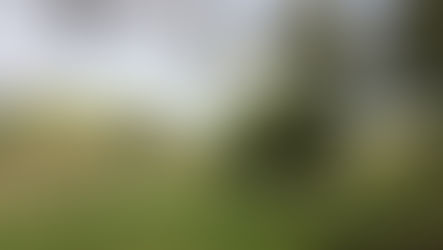 קורס שנתי ללימוד הצ'י קונג לבריאות נשים