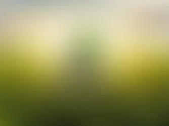 O Agronegócio na Baixada Fluminense e a Importância do Rio + Agro