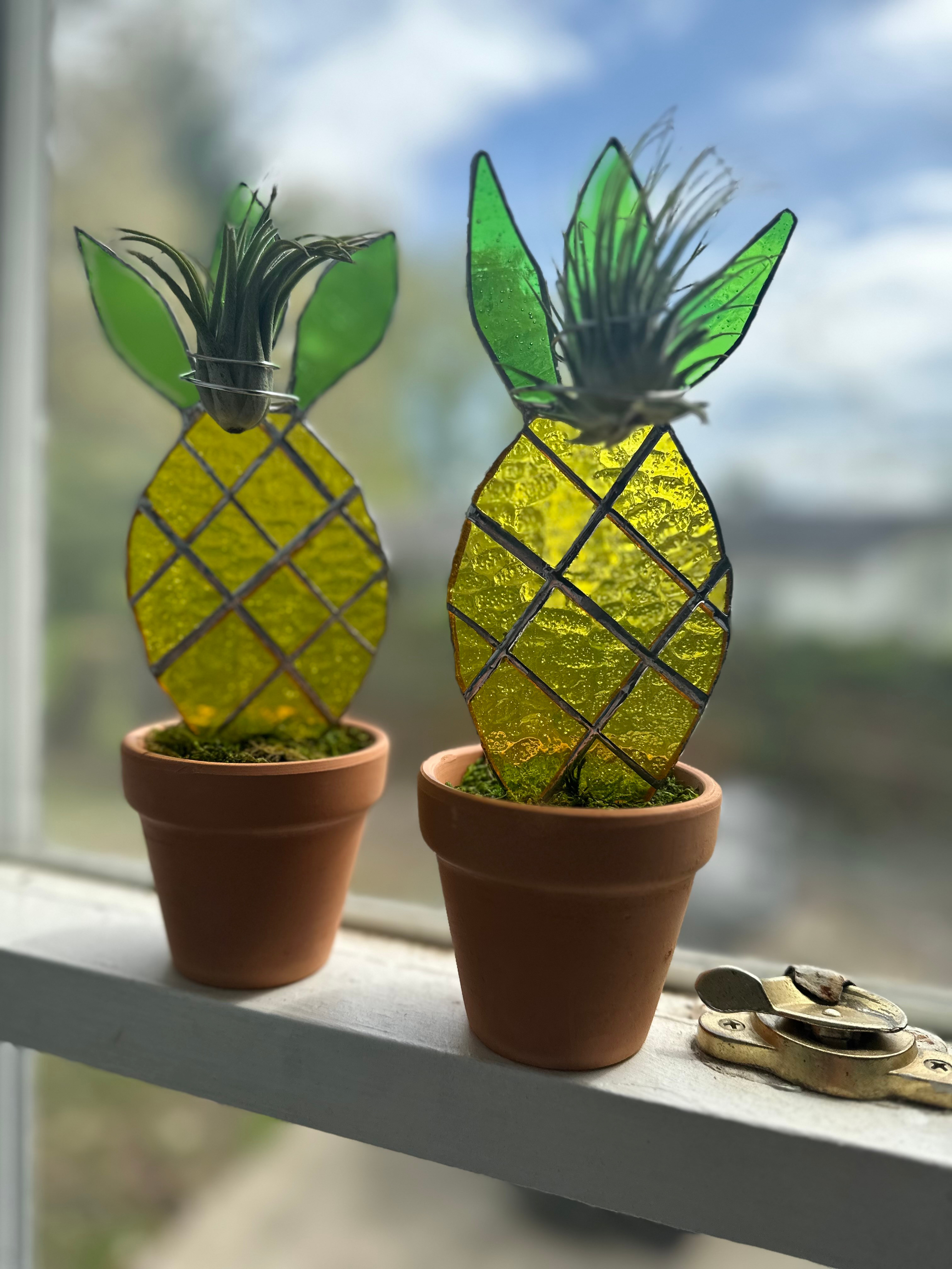 Air Plant Holder Pineapple