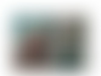 人像攝影。草莓