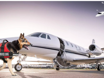  Spotlight: Requesting Charter Flight Services to extend an invitation to the Service Dog community 
