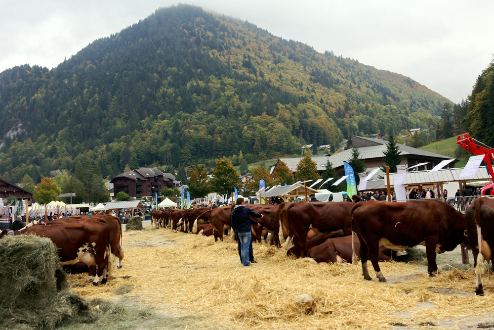 Foire d'Automne à Abondance