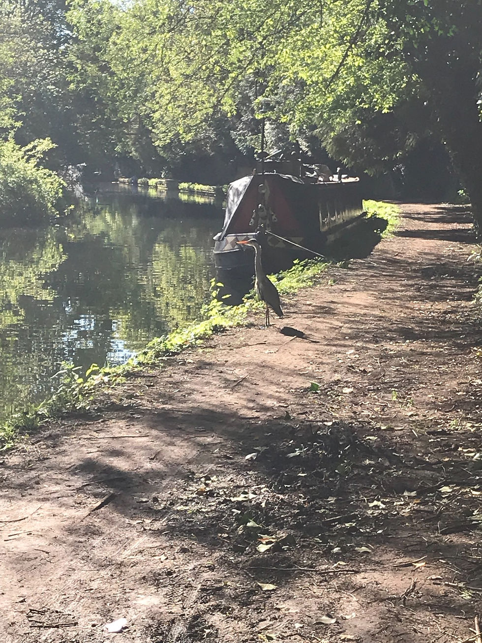 Walking along the canal