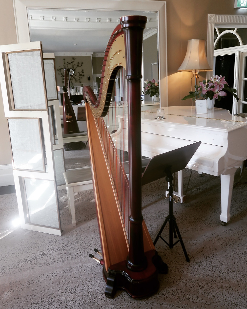The Harp At The Grove