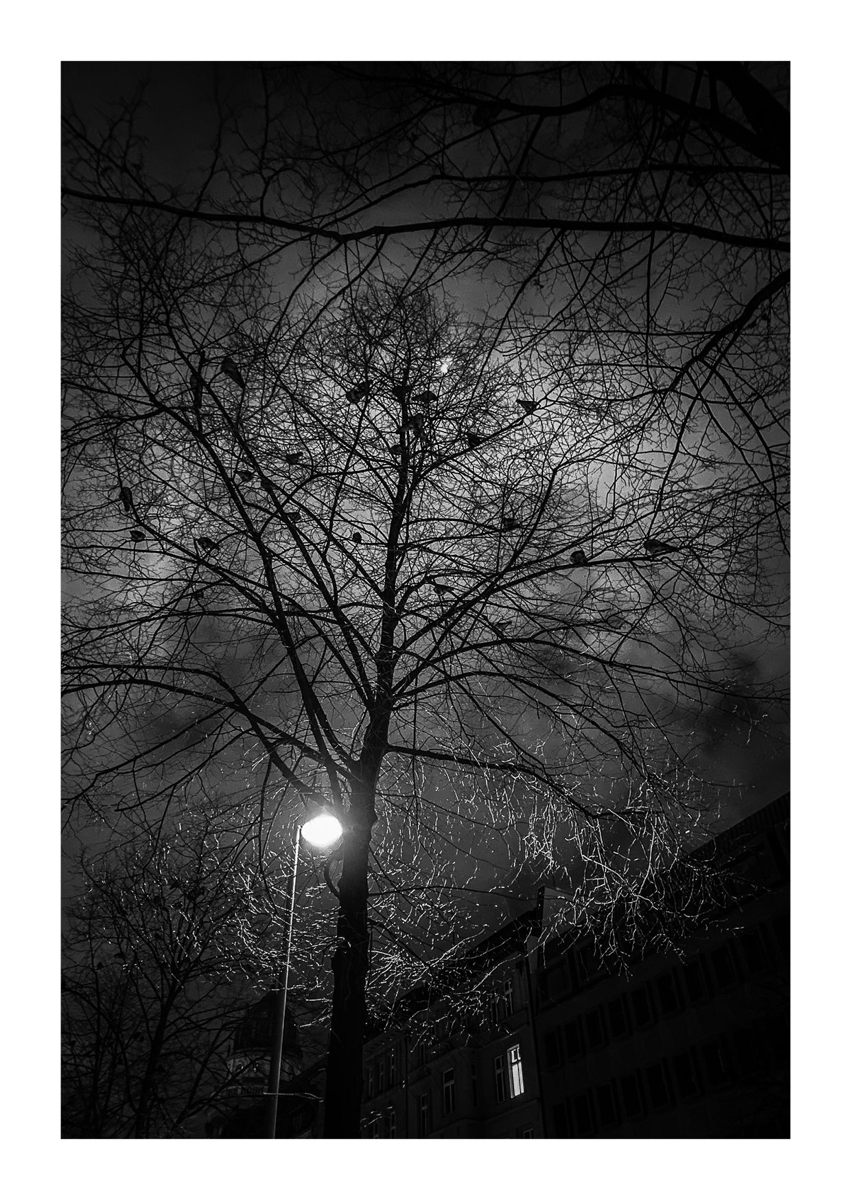 Bild 25 aus der Serie «snapshots»