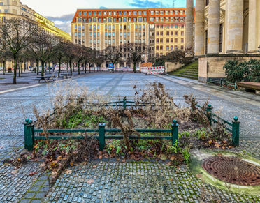 Aus der Serie «snapshots» von Corina Berheide