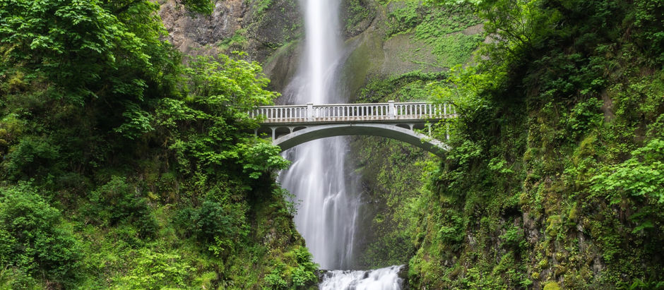 Rewilding your life, go wild