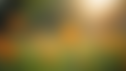 Embrace Self-Love: A Journey to Wellness