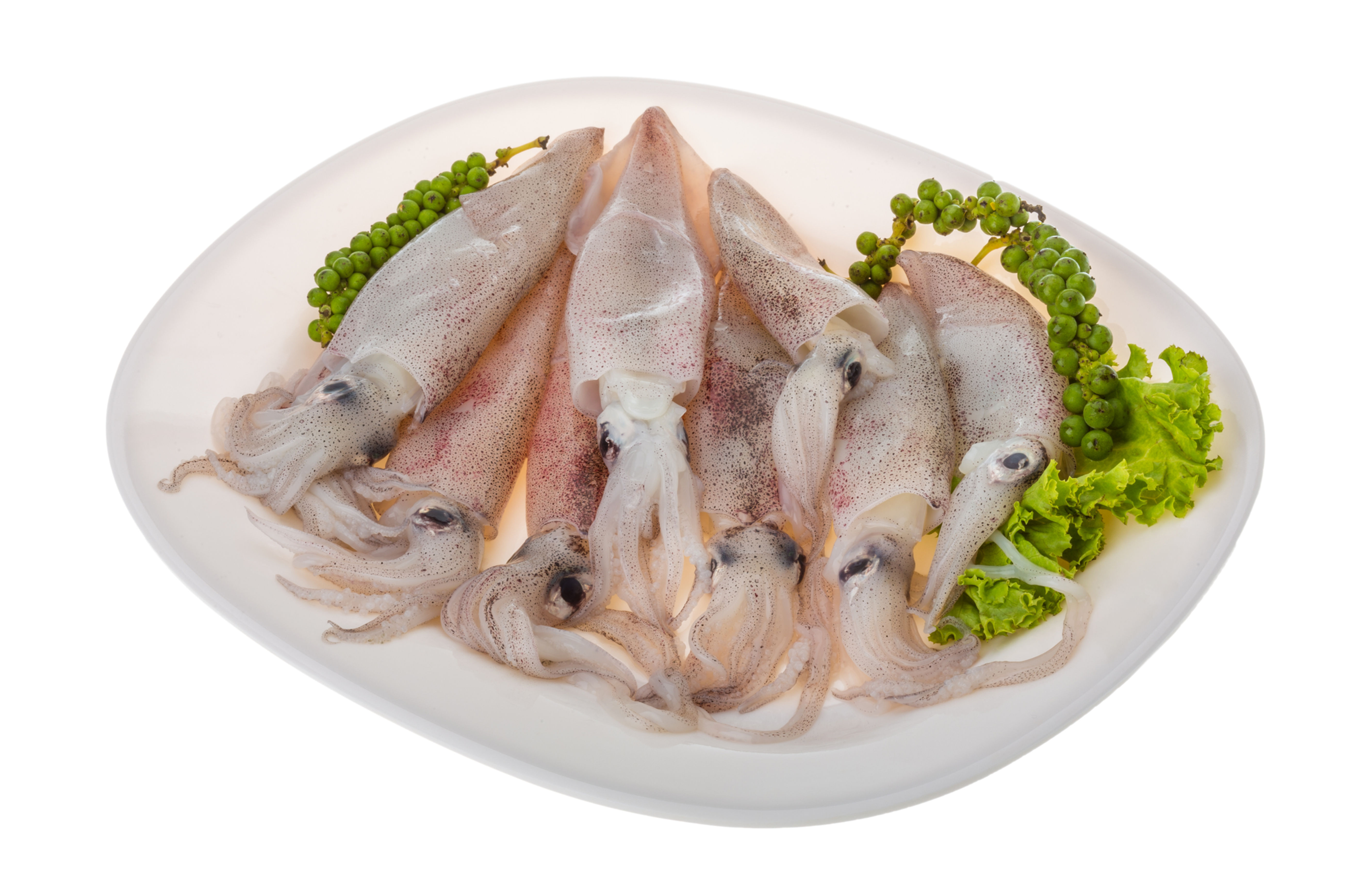 Baby IQF Cleaned Squid - Frozen